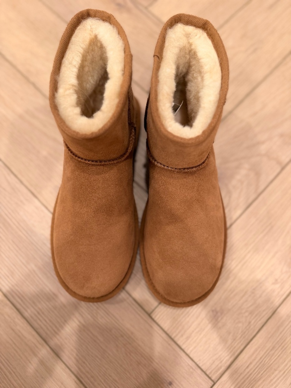 BRAND NEW WOMEN UGGS SIZE 8